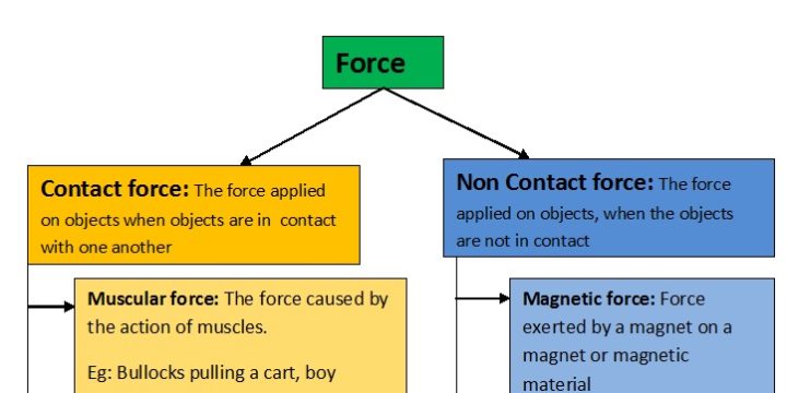 CBSE-8-Force and Pressure-notes